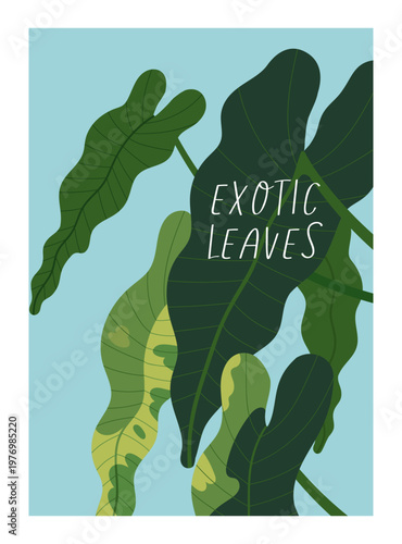 Exotic leaves, botanical poster design. Tropical leaf plant, alocasia foliage and typography, leafy card. Green jungle nature background. Greenery postcard in frame. Modern flat vector illustration