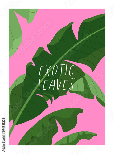 Exotic leaves poster design. Modern botanical card in frame. Tropical banana leaf plant. Green jungle foliage, summer nature, background with greenery and typography. Flat vector illustration
