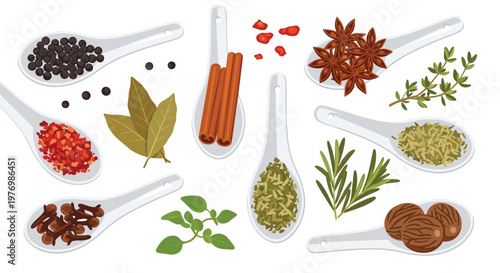 A diverse collection of aromatic whole spices and fresh green herbs rests inside elegant white ceramic spoons against a clean and neutral background.