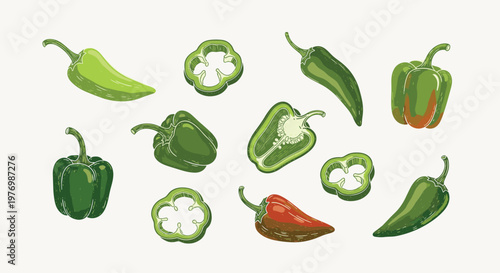 A diverse assortment of fresh green bell peppers and spicy chili peppers are displayed whole and sliced to reveal their internal seeds and textures.