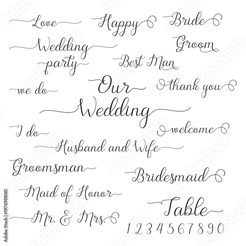 Handwritten Wedding words vector, Vector wedding script, Our wedding vector words, Wedding Quotes, Vector Wedding Designs, Wedding sign set