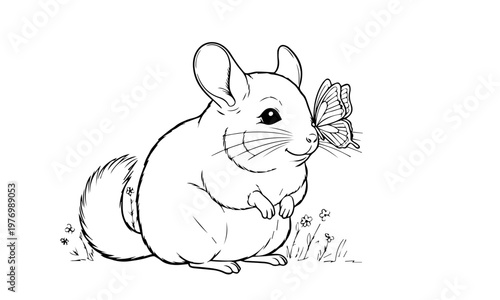 A charming illustration of a chinchilla with a butterfly resting on its nose. Coloring page, Black and White Line Art Printable for Kids and Adults