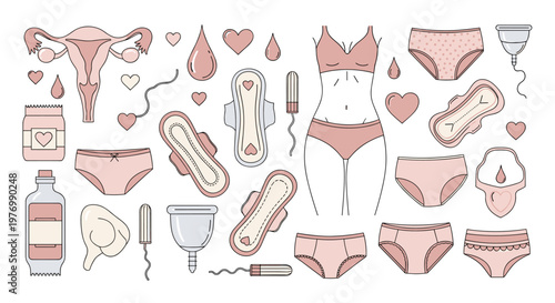 Feminine hygiene products and anatomical icons are presented in a soft pink palette for health and wellness education.