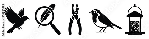 Essential birdwatching and ornithology icon set featuring flying and perched bird silhouettes a magnifying glass with feather pliers and a bird feeder ideal for educational wildlife