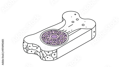 Artistic cross section view of a biological cell structure showing various organelles and components on a slab.