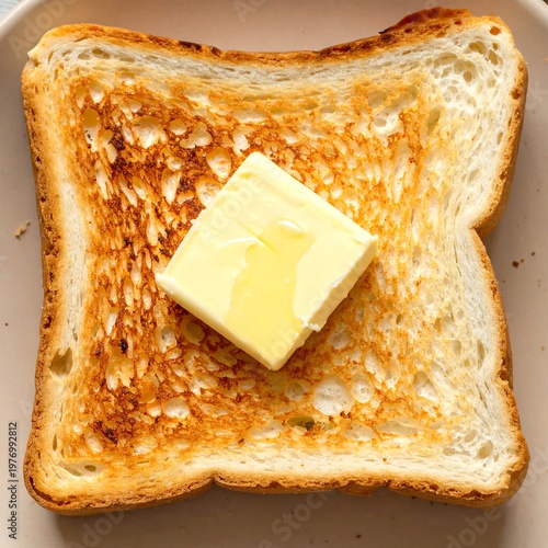 A square of melting yellow dairy product sits atop a slice of golden-brown bread, on a neutral-toned plate