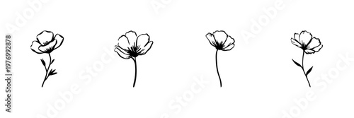 Hand Drawn Wildflower Illustrations In Minimalist Style Set. Botanical Art, Nature-Inspired Doodle Sketch Collection. Floral Design Elements. Isolated Vector Illustration