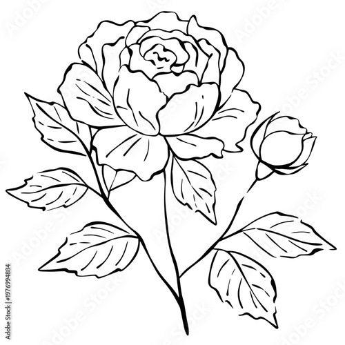 Minimalist Rose Line Art with Bud and Leaves – Elegant Botanical Outline Illustration