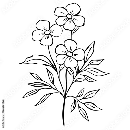 Minimalist Wildflower Line Art Illustration – Hand Drawn Botanical Outline Flowers, Black and White Floral Clipart