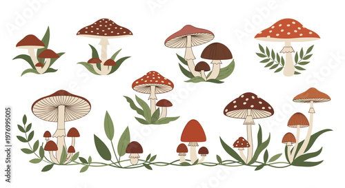 Collection of Autumn Amanita Muscaria Mushrooms and Green Foliage, Vector Illustration