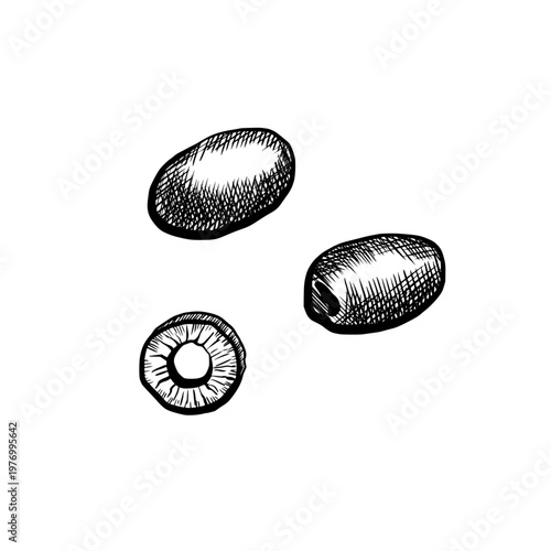 Olive fruit and slice in minimalist black and white vector line art. Mediterranean healthy food for organic oil packaging, greek salad menu, gourmet appetizer label and cooking graphics