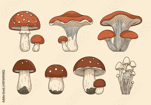 Vintage Botanical Mushroom Collection - Hand-Drawn Set of Edible and Poisonous Wild Fungi