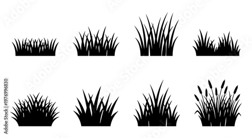 Black grass silhouette set, 8 meadow plant icons, lawn turf vector clipart