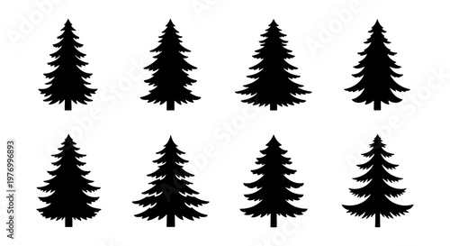 Pine tree silhouette collection, 8 evergreen conifer vectors, spruce icons