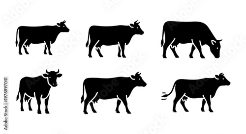 Black cow silhouettes, 6 farm animal vector icons, cattle livestock set