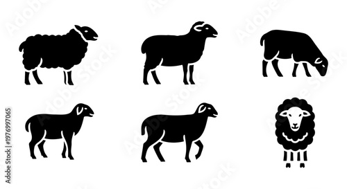 Black sheep silhouettes, 6 livestock icons, farm animal vector set