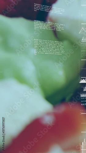 Vertical video: Focus pull starting lens unveiling cream berry leaf while HUD showing nutrition