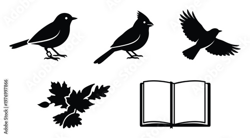 Black silhouettes featuring diverse birds, natural leaves, and an open book offer versatile visual resources for educational projects and natureinspired designs