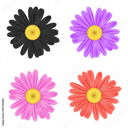 Realistic chamomile daisy flower icon collection