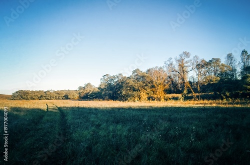 Rural dirt road on a clear summer day