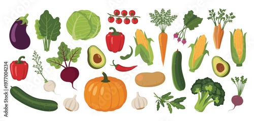 Assorted Fresh Vegetables Collection vector illustration