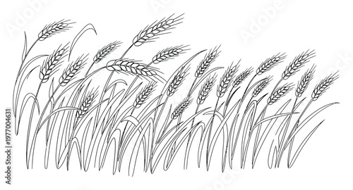 Line art drawing of wheat field swaying in the wind representing natural farming and harvest season perfect for organic food branding or agricultural publications
