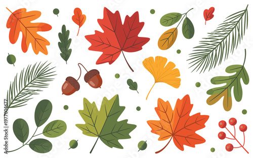 Autumn leaves, acorns, and pine needles collection