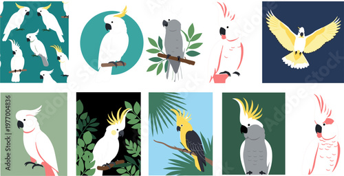 Cockatoo Bird Illustration Set Featuring Various Poses and Colorful Tropical Designs for Exotic Pet and Bird Lovers