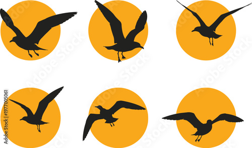 Six silhouette seagulls in flight against orange circles