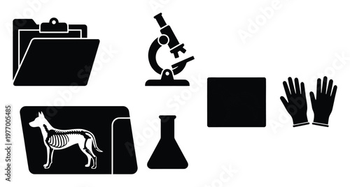 Essential veterinary medicine and scientific research tools including patient files, a microscope, protective gloves, a dog anatomy record, and laboratory glassware for professional