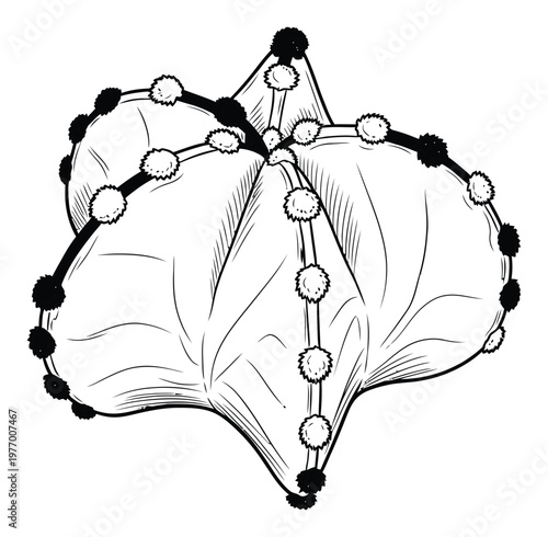 Detailed line drawing of a star shaped ribbed cactus with fuzzy areoles perfect for botanical themed designs and desert plant inspired creative projects