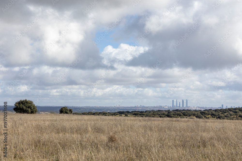 Fototapeta premium Madrid skyline standing tall over a field