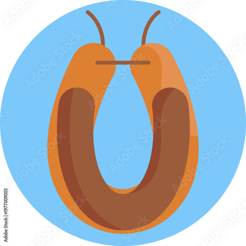 A curved sausage with smooth edges, often shown with light steam lines to indicate it’s smoked and warm.