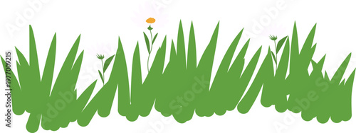 Nature Grass with Flower Decoration