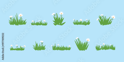 Nature Grass with Flower Decoration