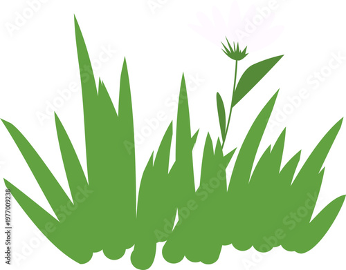 Nature Grass with Flower Decoration