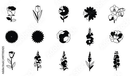 Contemporary set of black and white flower icons and delicate floral silhouettes providing elegant visual resources for diverse graphic design projects and decorative use.