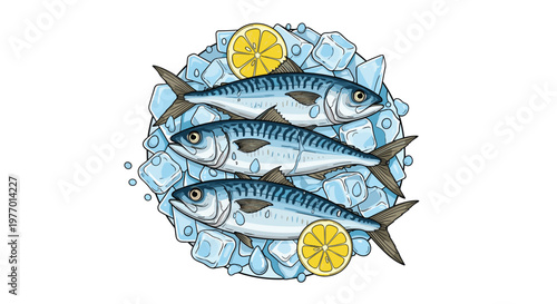 Three fresh whole mackerel fish on a bed of ice cubes with lemon slices isolated on white background for seafood market.