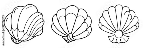 Three line art illustrations of different seashell shapes and arrangements on white background