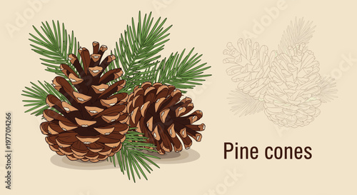 Pair of brown pine cones nestled among green evergreen needles with a faded background copy and text on a beige surface.