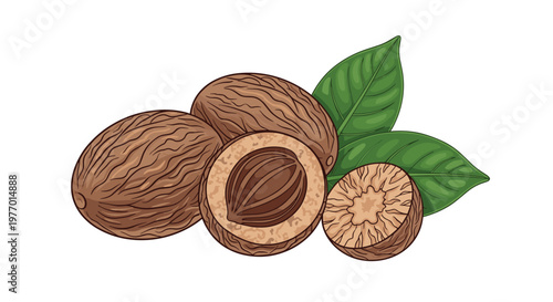 Group of whole nutmeg seeds and one cut in half to show the internal kernel along with fresh green leaves on white.