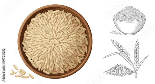 Top down view of a wooden bowl overflowing with long grain brown rice alongside several black and white line art versions.