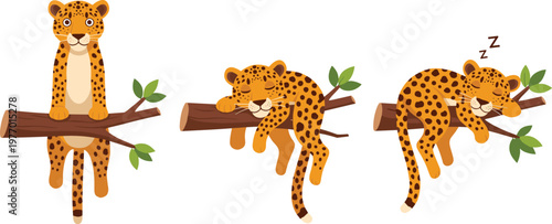 Cute Leopard Cartoon Character Set Sleeping Resting and Hanging on Tree Branch Adorable Wild Animal Relaxing Poses Vector Illustration Collection