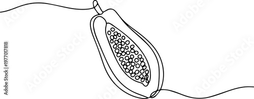 papaya fruit continuous one line drawing, Continuous one line drawing of sliced healthy organic papaya for orchard logo identity. Slice of freshness fruitage concept for fruit garden icon. Single line