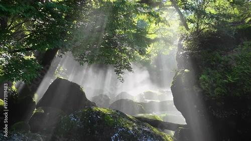 菊池渓谷の光芒