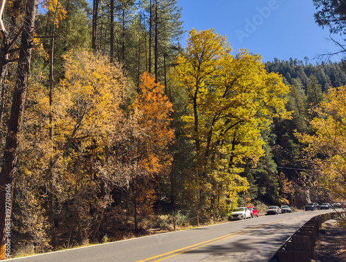 Fall colors explode along Oak Creek Canyon's winding road, cars queued for the golden spectacle!