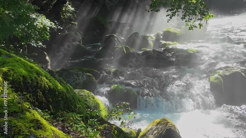 菊池渓谷の光芒