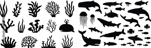 Black silhouettes of ocean sea creatures and coral  underwater
