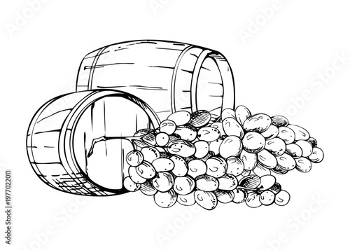Rustic wine, sherry wooden barrel kegs for cellar storage, aging, harvested vineyard grapes. Isolated ink vector illustration hand drawn for wine tastings, distillery tour promos, viticulture graphics