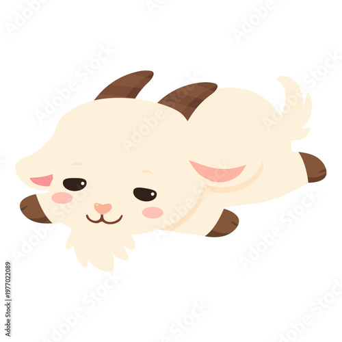 Cute baby goat lying down and resting